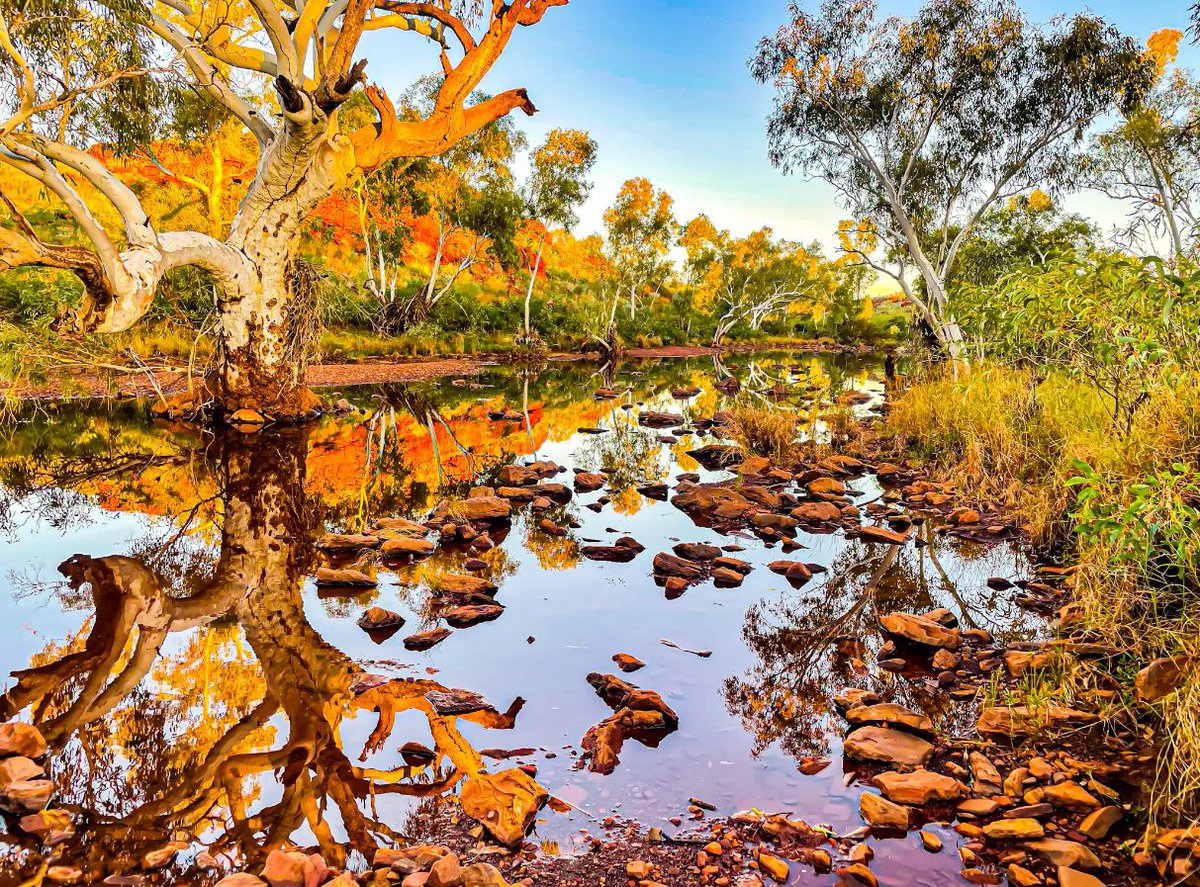 What a great way to start a Tuesday at the Environmental Consultants Association (WA) Annual New Year Breakfast. Thanks to Lisa for the informative update and congrats to Daniel on winning photo comp! For future events visit - buff.ly/3SMMott #environmentalconsulting #eca