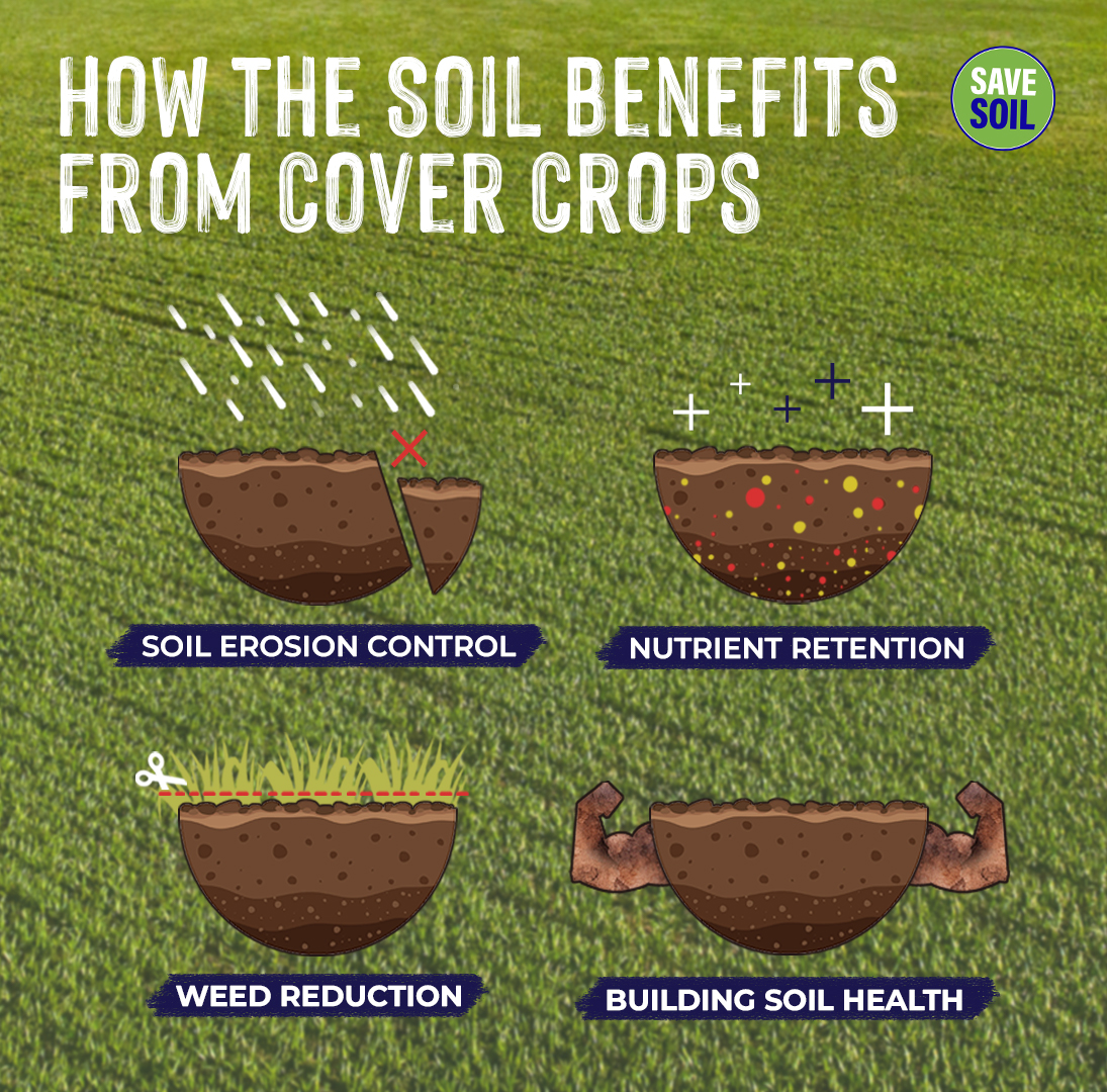 Conscious Planet #SaveSoil tweet media