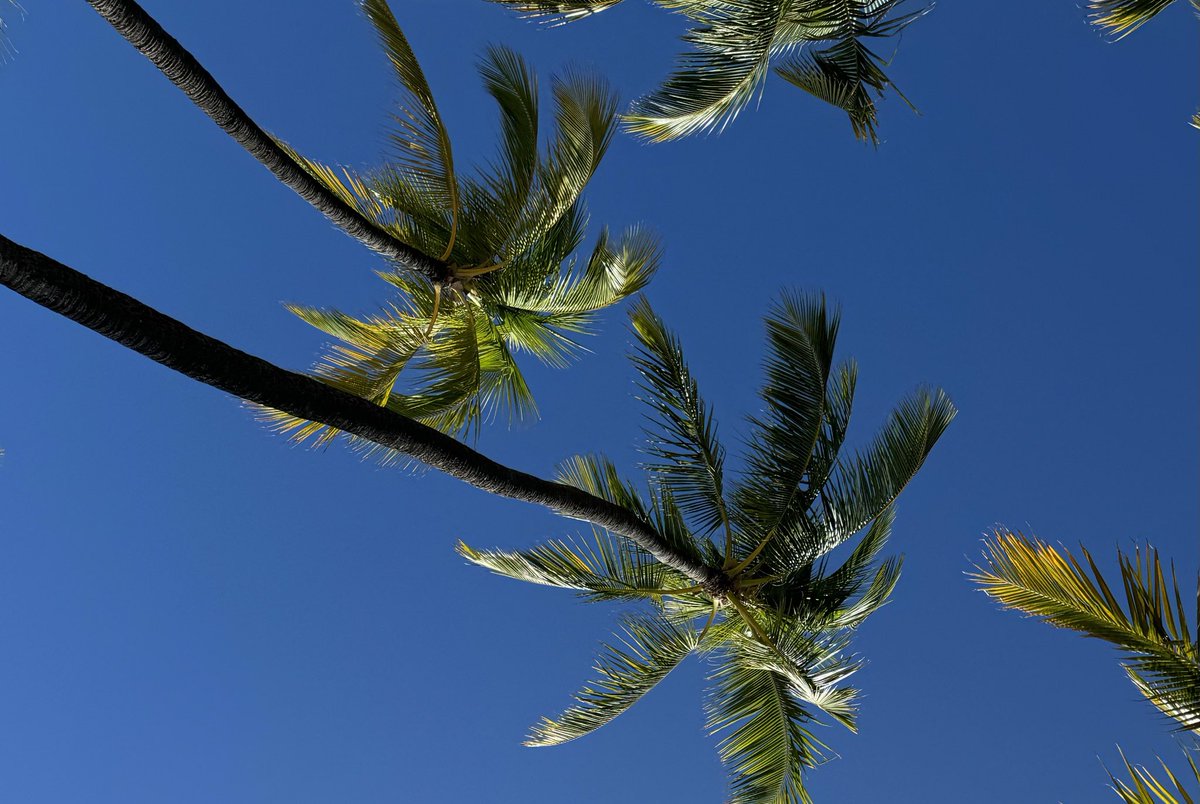 Blauer Himmel invite. Wer will 

bsky-social-a6jqu-rz3ug