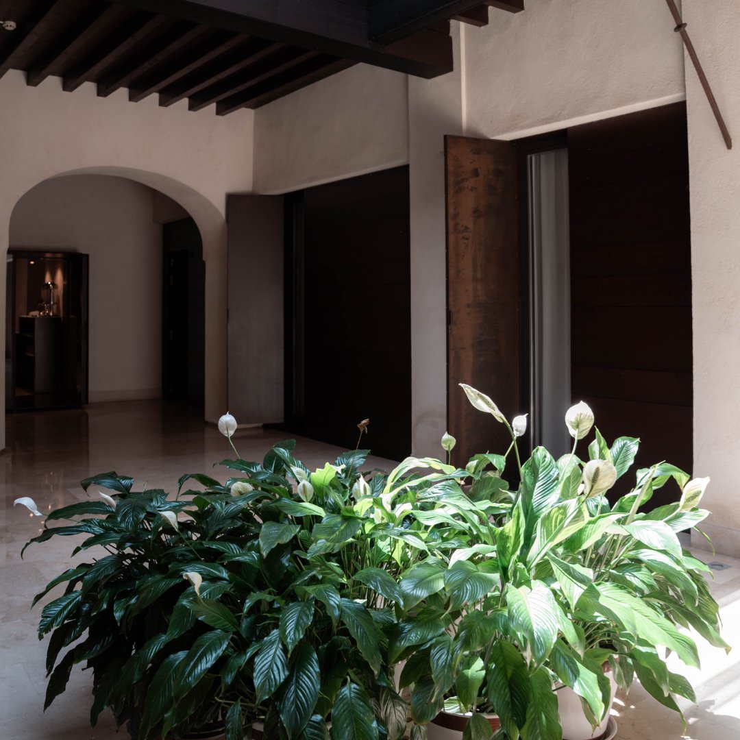 Stroll through all our Andalusian-style patios, located in the guest room area.
Spaces filled with natural light and lush greenery.
Pasea por todos nuestros patios de estilo andaluz que podrás encontrar en la zona de habitaciones. Espacios con luz natural y llenos de vegetación.
