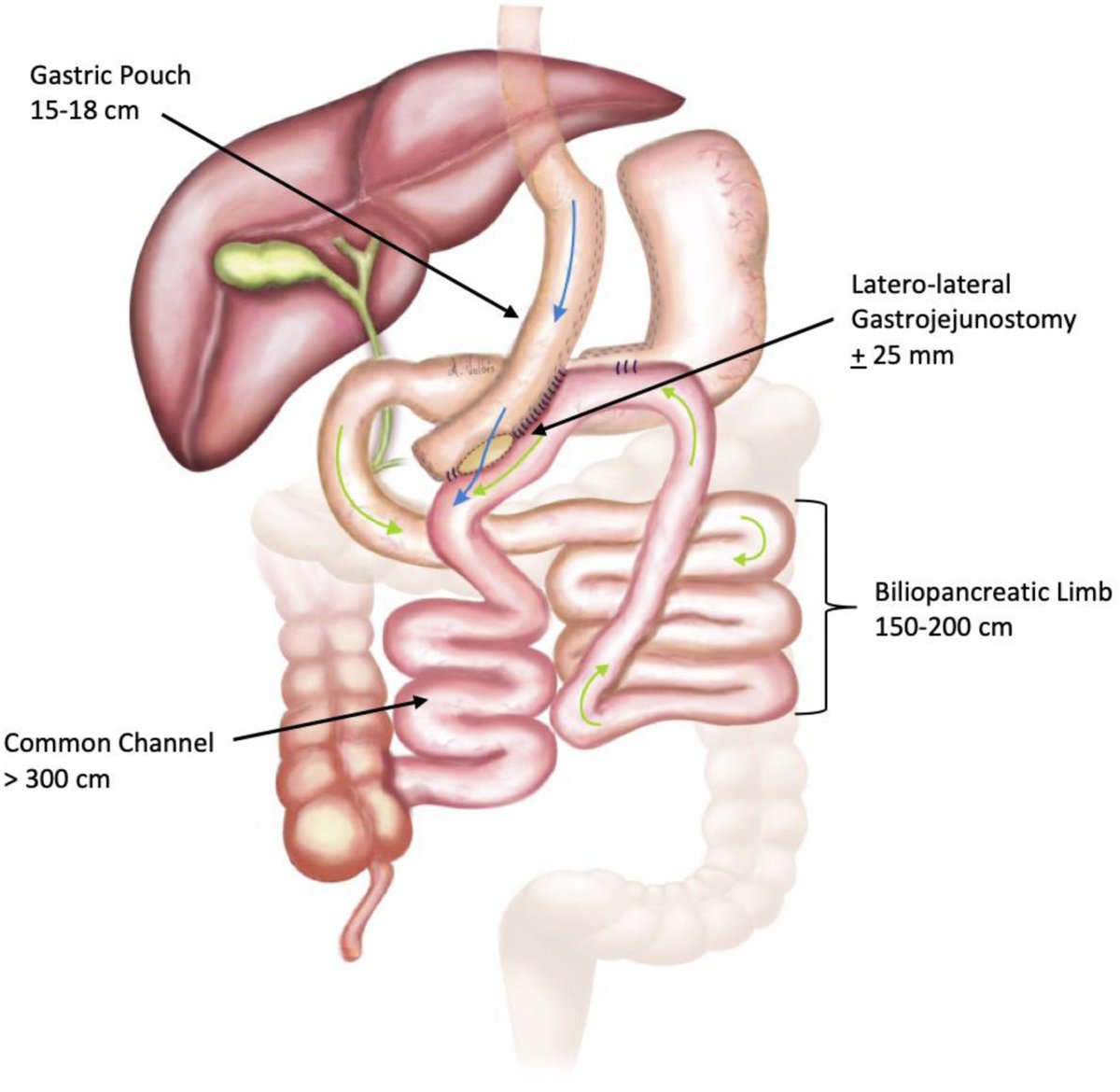 Jaime Ponce MD tweet media