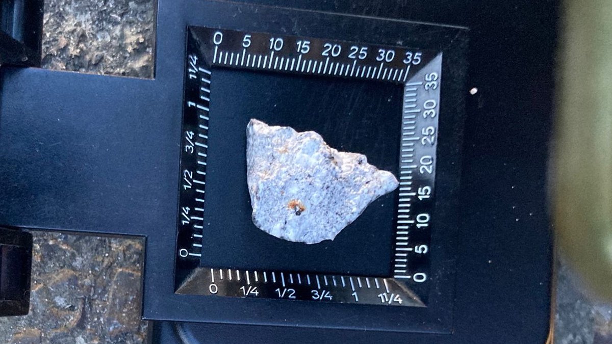 Ein #Meteoritenregen über Berlin hinterließ walnussgroße Bruchstücke in Brandenburg. ☄️ 🪨 Forschende identifizierten diese als seltene Aubrite-Meteoriten nach der vorhergesagten Kollision eines ein-Meter-großen Asteroiden mit der Erde am 21. Januar. dlr.de/de/aktuelles/n… 1/2