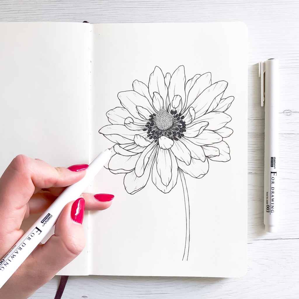 Find out how Bianca Giarola learned to draw and why she believes that through practice and consistency anyone can learn, just like she did, in episode 95

#botanicalart #learntodraw #botanicart #drawflowers 
#floralart natureinspired #natureinspiredart #flowerart  #bloomingart