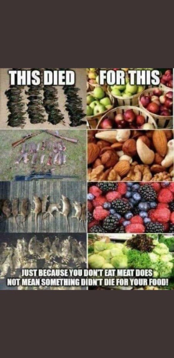 Vegan "animal rights" and "anti speciest" activists never show pictures of cute rabbits, feral pigs, birds or gophers being sacrificed for vegan food. 

Inconvenient truth is that millions of wild animals are poisoned, trapped, shot and slaughtered to grow plant crops.