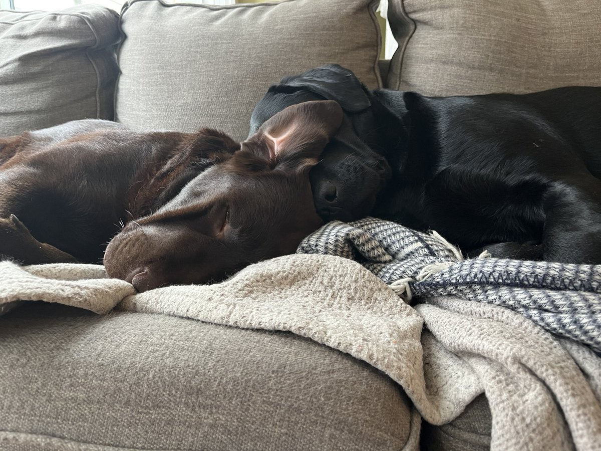 Jimmy & Earl tweet media