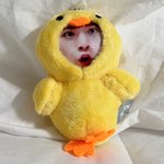 Photo by 빵등등사무소장 ꤶ (@0DDoffice)