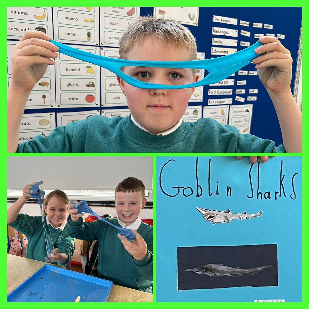 SEASHOREKIDS1's tweet image. Students at St Laurences NS were learning all about deep sea species with the GBU workshops and particularly enjoyed making Hagfish slime @explorersedu @MarineInst #keepexploring
