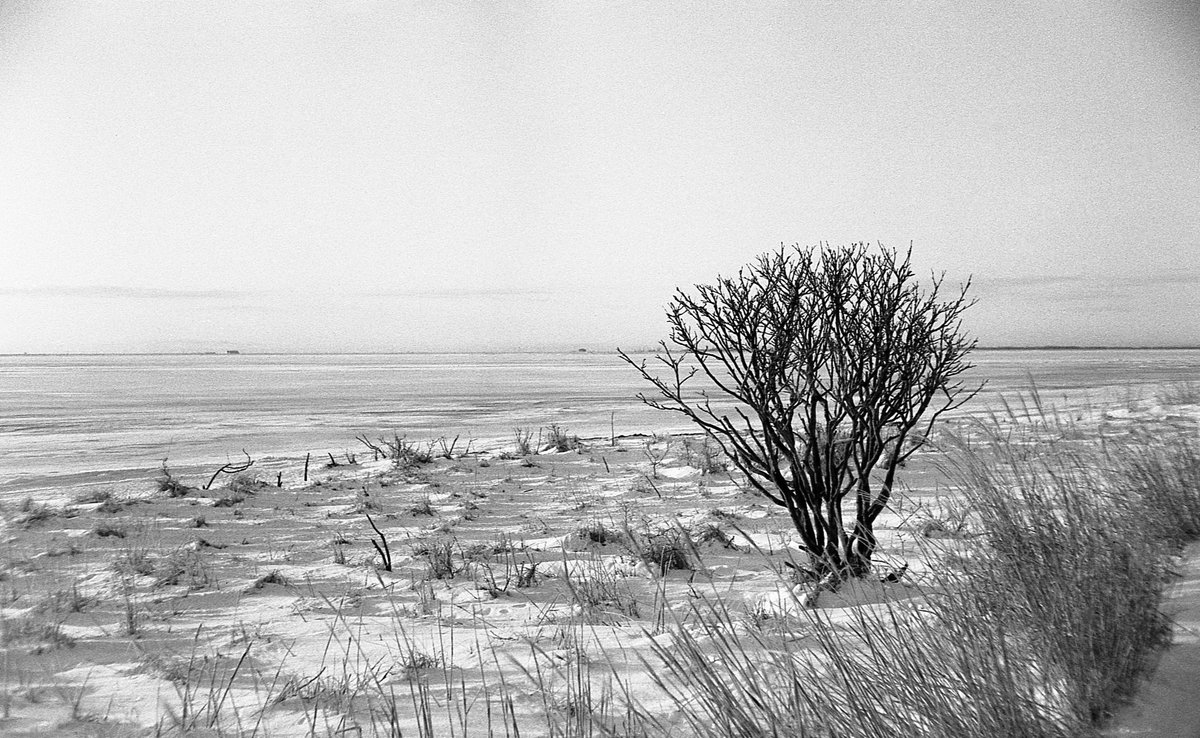 grm811's tweet photo. デジタイズできた。試される大地……
#marix #bw200 #leica #m3 #msoptics #msoptical #宮崎光学 #sonnetar50f13 #filmphotography #北海道 https://t.co/AkTg5PNEWS