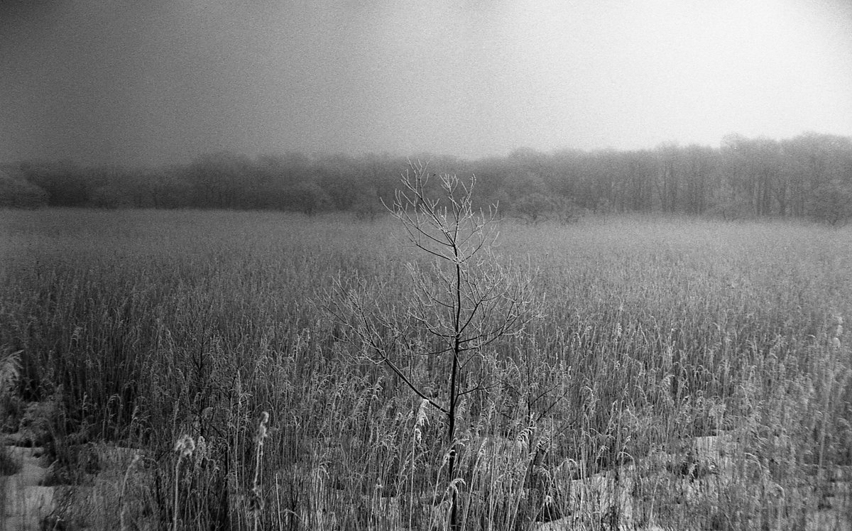 grm811's tweet photo. デジタイズできた。試される大地……
#marix #bw200 #leica #m3 #msoptics #msoptical #宮崎光学 #sonnetar50f13 #filmphotography #北海道 https://t.co/AkTg5PNEWS