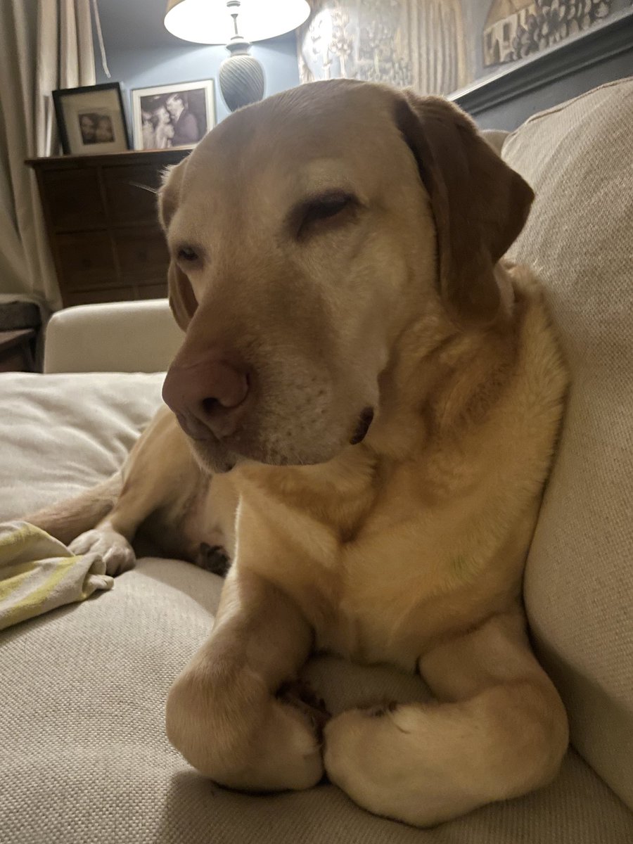 Alex Lovell tweet media