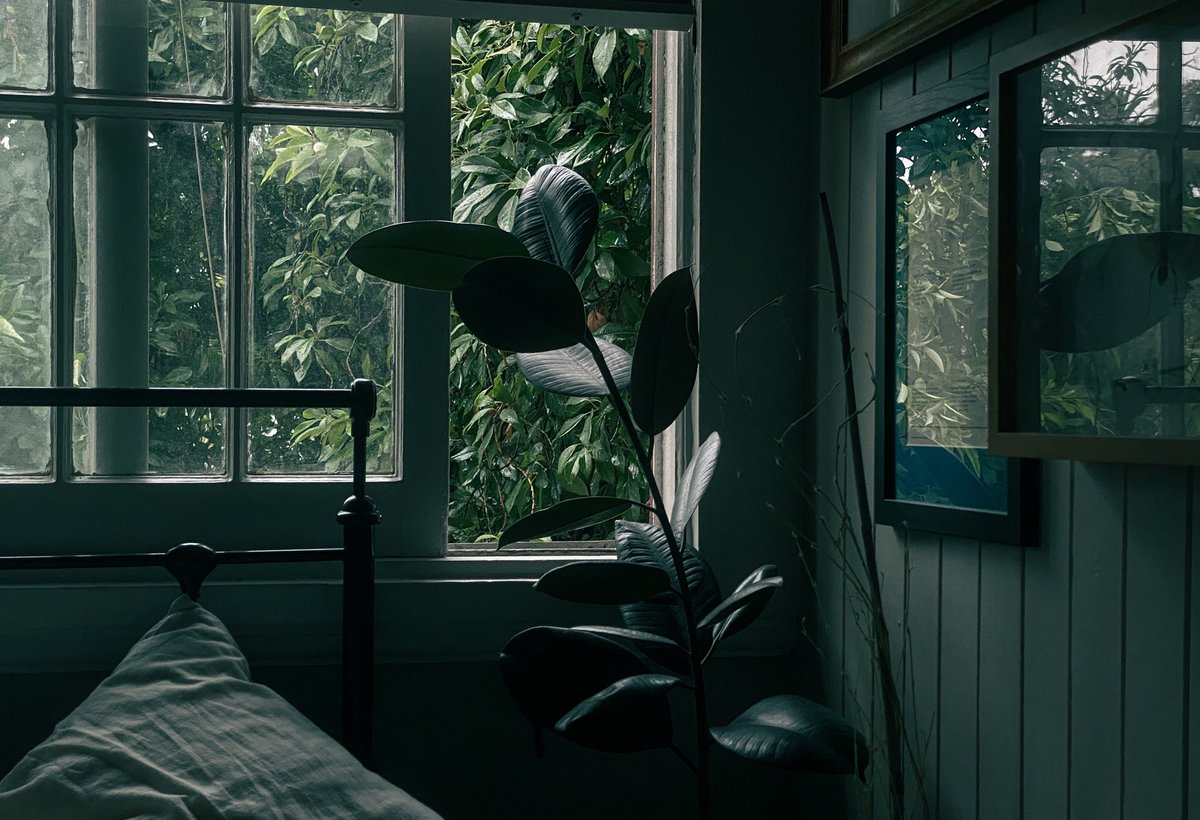 artistryhere's tweet photo. solace of moody weather. https://t.co/7EliY2pzUd