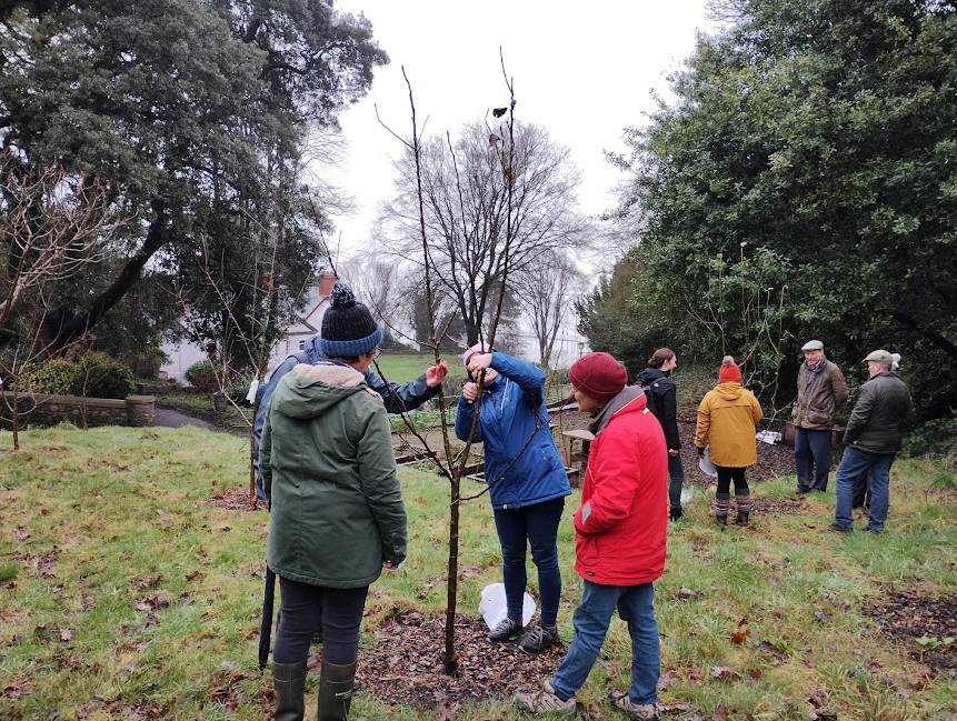 Penarth Growing Community tweet media