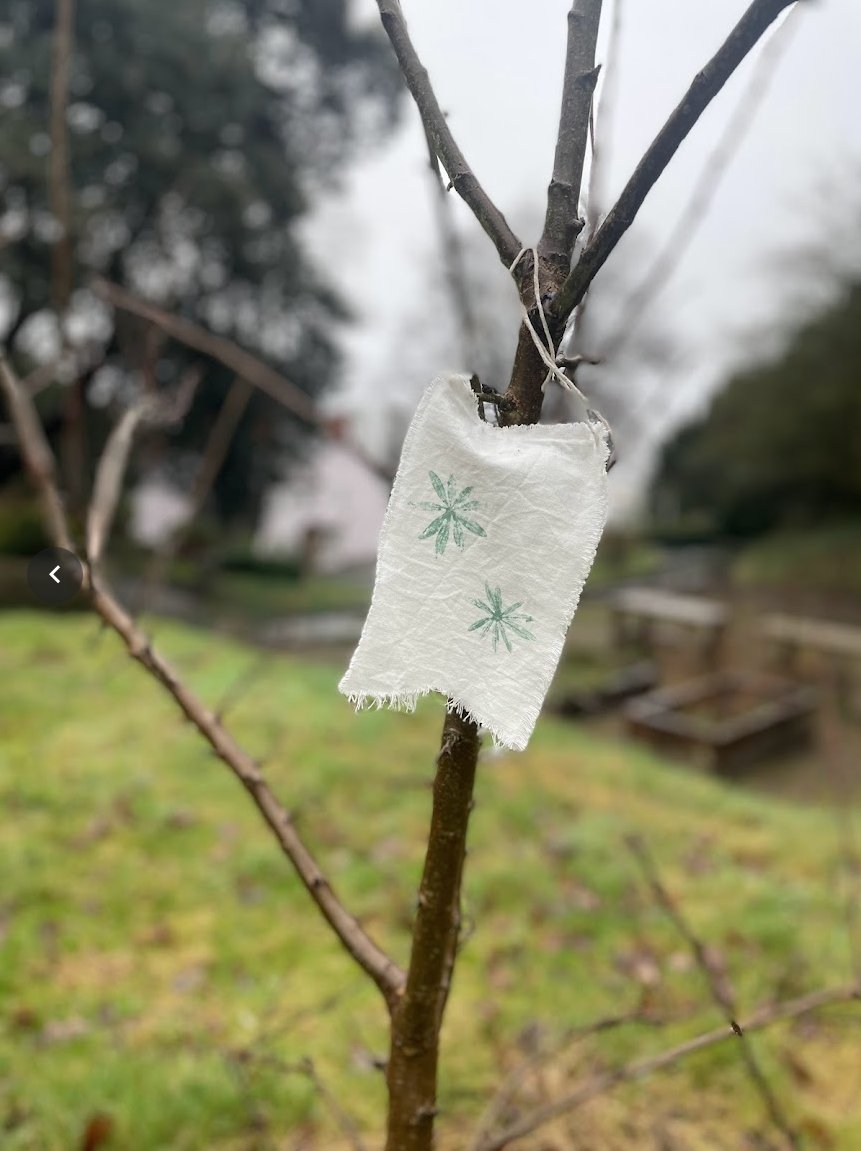 Penarth Growing Community tweet media