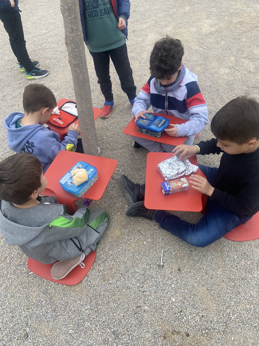 CEIP San José de Calasanz, Alquerías tweet media
