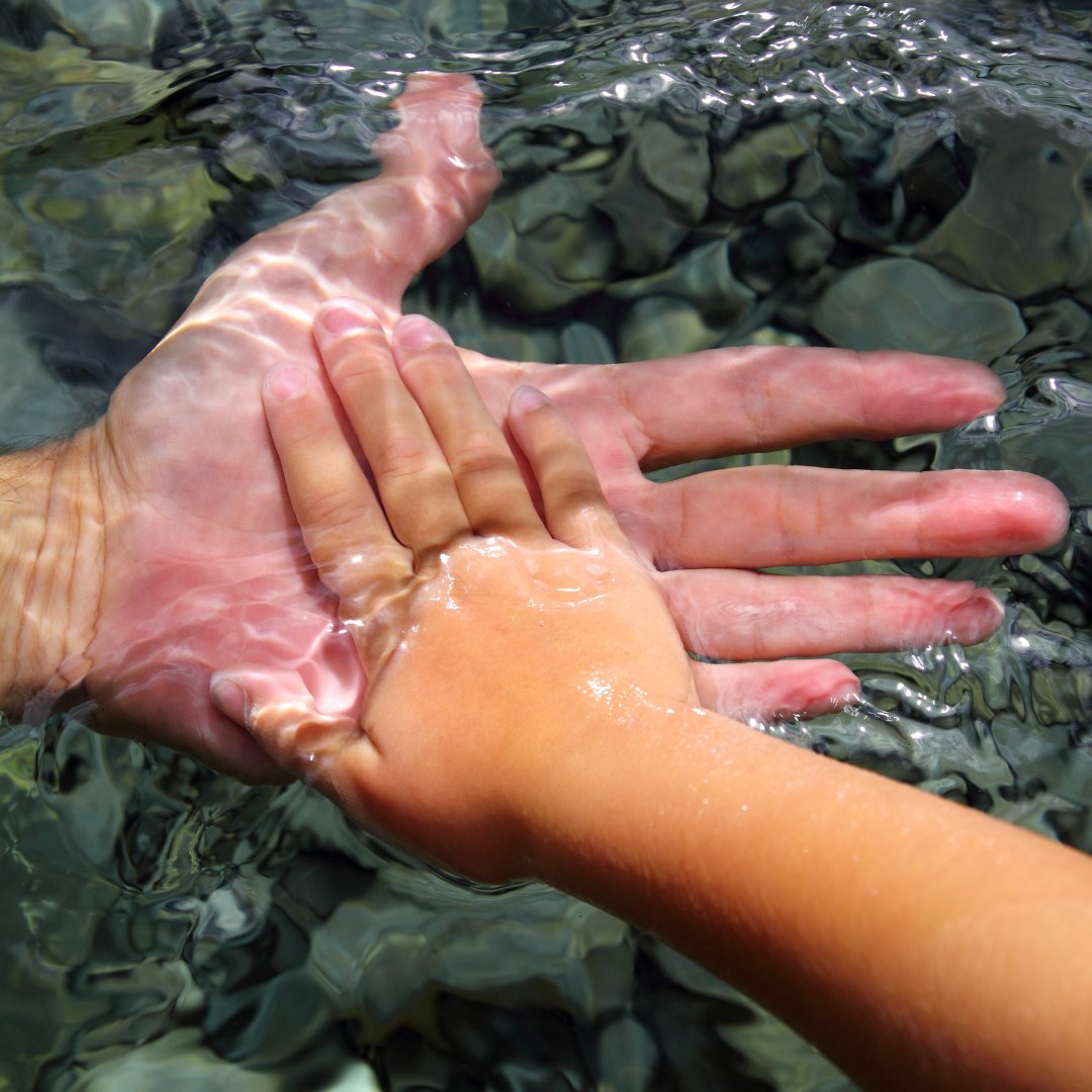 💙 We are looking for volunteers to support our education program! Help deliver sessions to schools, home-ed groups, youth groups, and at public events. Make a difference in your community's river conservation. wessexrt.org.uk/volunteer.html #VolunteerForRivers