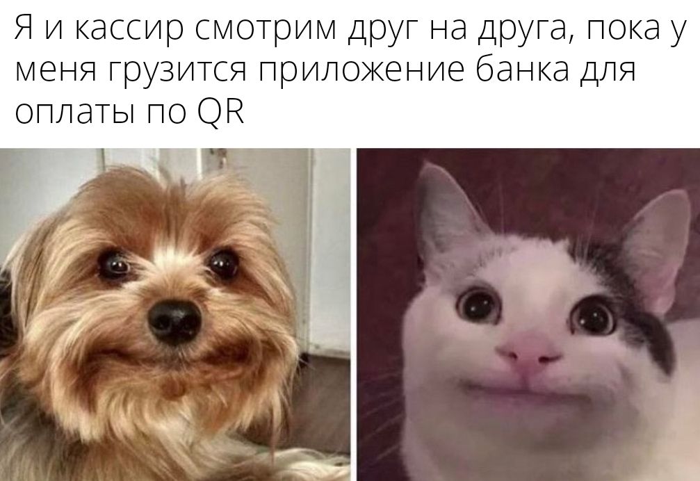 Не жди, закажи платёжный стикер и оплачивай одним касанием за секунду: s.qiwi.com/2Eg-L9z-KcH