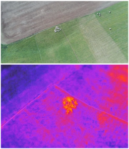 🐄🐐🐑 Introducing our latest bundle in livestock care: Animal's Health by AiDEAS 🚀 Utilizing RGB and thermal camera images, we're revolutionizing herd health monitoring.  With #ComputerVision, #ImageRecognition, and #Drone tech, we ensure your animals are in prime condition.