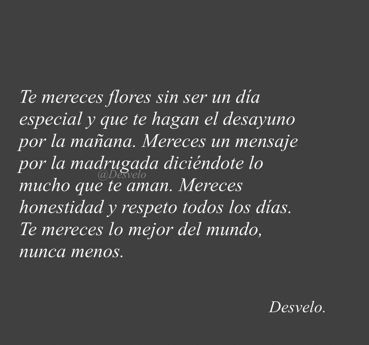 Cementerio De Libros tweet media