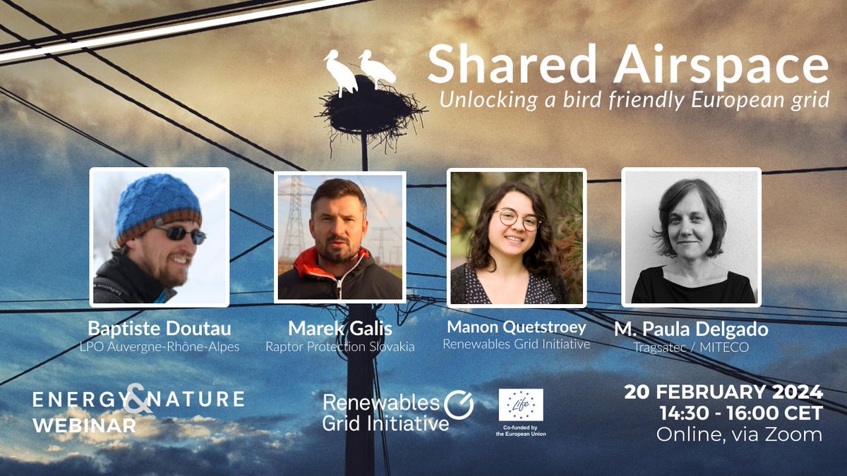 Join our 🌱#EnergyAndNature webinar on 20 February to hear from:

📊 Baptiste Doutau from @LPO_auv_rhonalp
💰 Marek Galis from @dravce
💰 Manon Quetstroey from RGI and @SafeLines4Birds
⚖️ M. Paula Delgado from Tragsatec/@mitecogob 

More info and sign up👉 renewables-grid.eu/activities/eve…