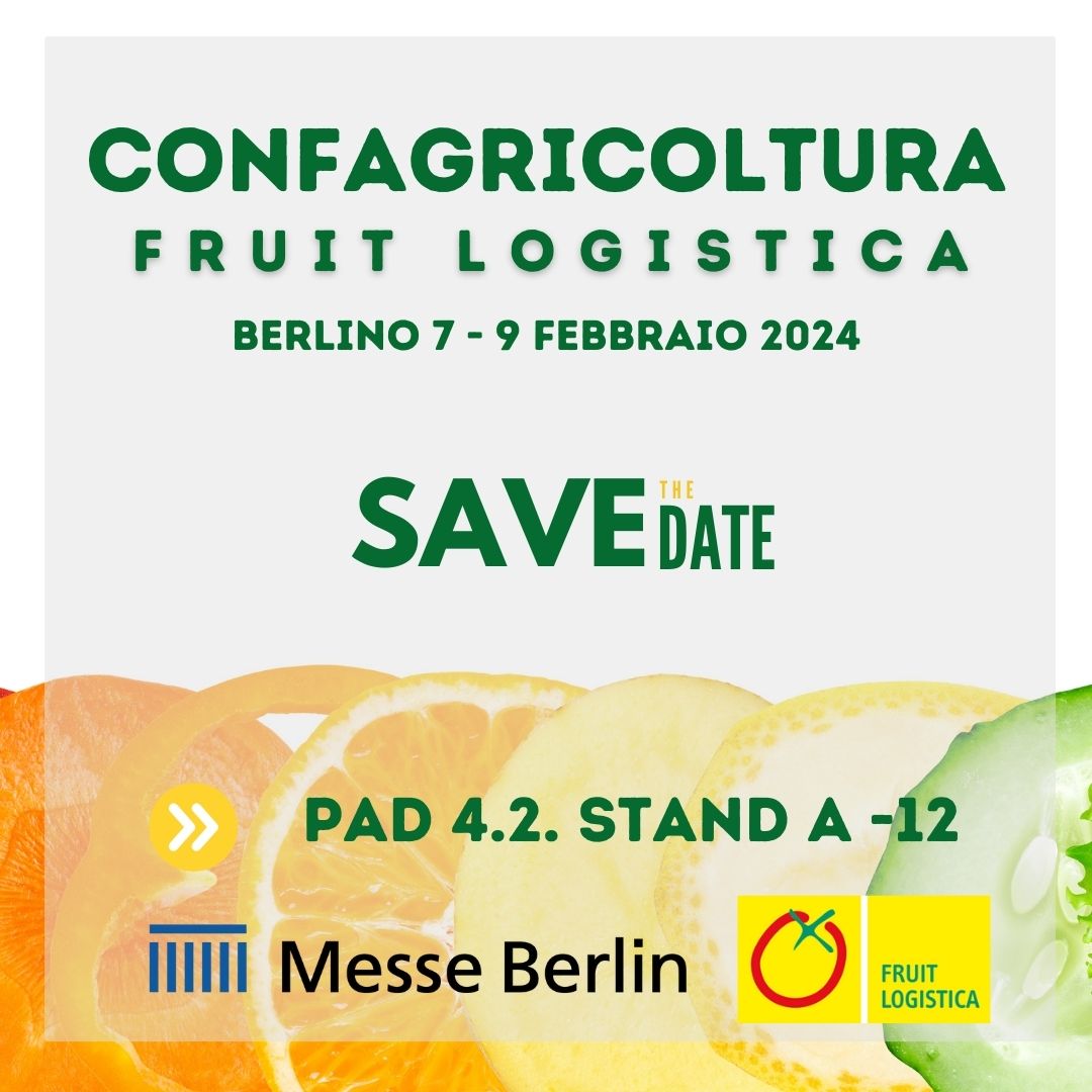 Confagricoltura (@confagricoltura) on Twitter photo 🍊🍅A Berlino l’#ortofrutta mondiale a <a href="/Fruit_Logistica/">🍉 FRUIT LOGISTICA 🍏</a>.
🔎Attualità e prospettive del comparto sotto la lente di Confagricoltura.
📍Vi aspettiamo al Pad 4.2 Stand A 12
➡️tinyurl.com/ycxpf6ap 🍊🍅A Berlino l’#ortofrutta mondiale a <a href="/Fruit_Logistica/">🍉 FRUIT LOGISTICA 🍏</a>.
🔎Attualità e prospettive del comparto sotto la lente di Confagricoltura.
📍Vi aspettiamo al Pad 4.2 Stand A 12
➡️tinyurl.com/ycxpf6ap