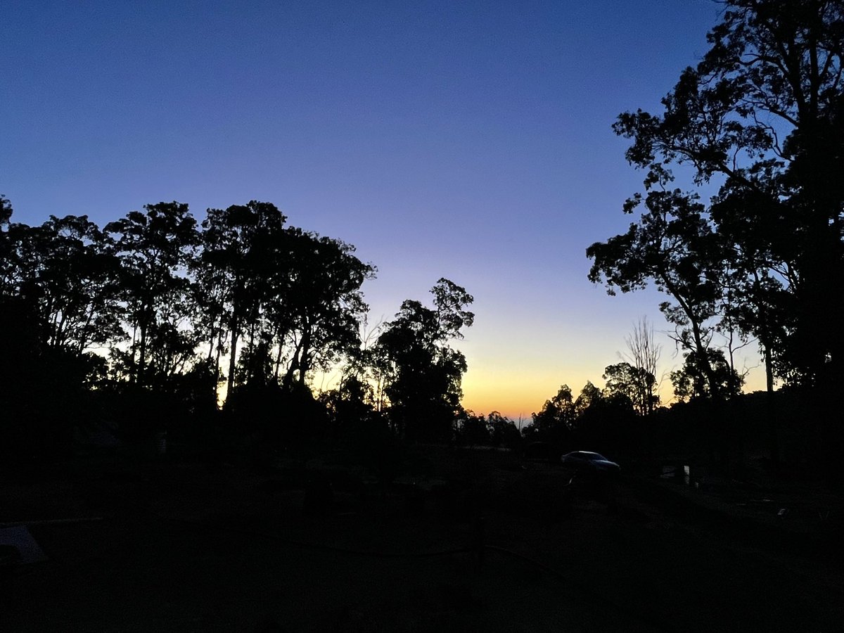 FantasyDiving tweet media