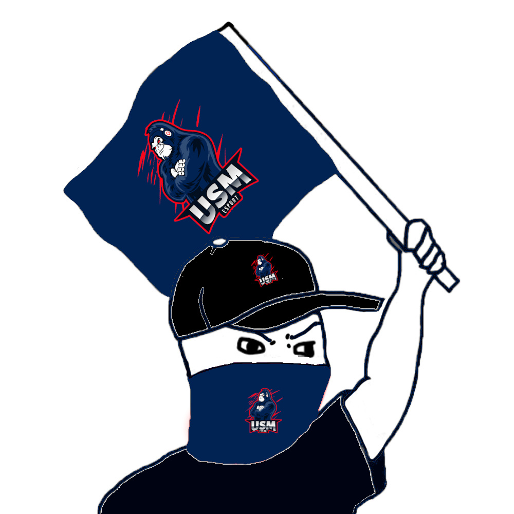 USM eSport 🇫🇷 tweet media