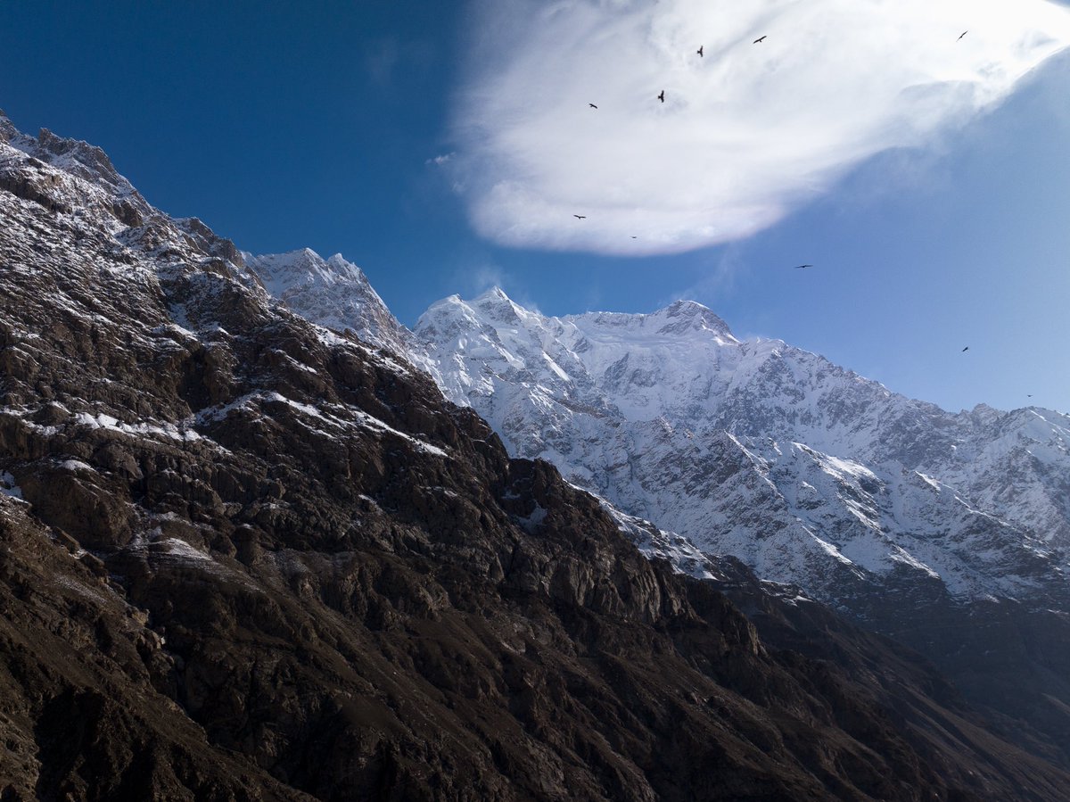 Noah | Noe Caffesse tweet media