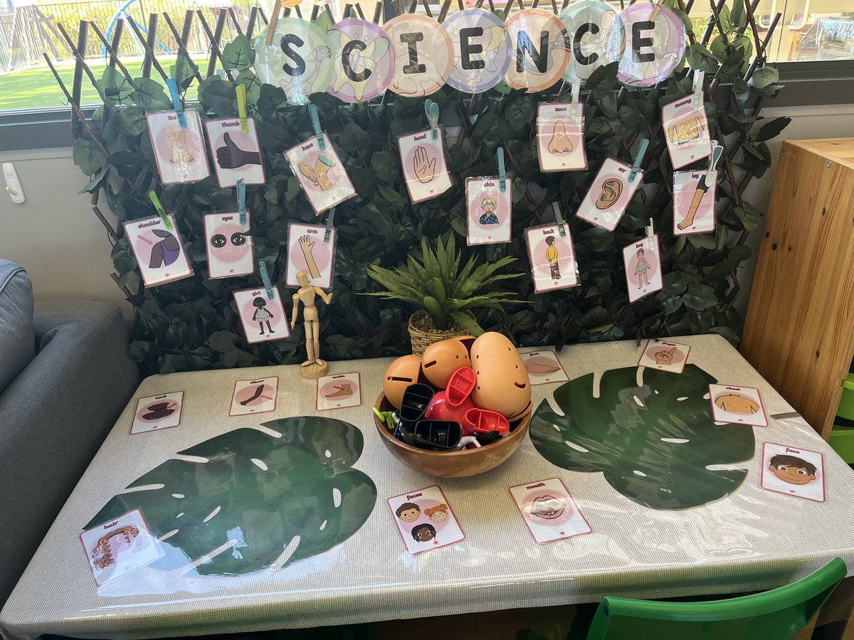 MrsNicoleBailey's tweet photo. A new year has brought about a change of school with a straight Kindy class. I’m so excited to continue my Walker Learning journey though and to see how my new little people love learning through exploring and investigating. #walkerlearning #earlychildhood https://t.co/fp7cGBrqFF