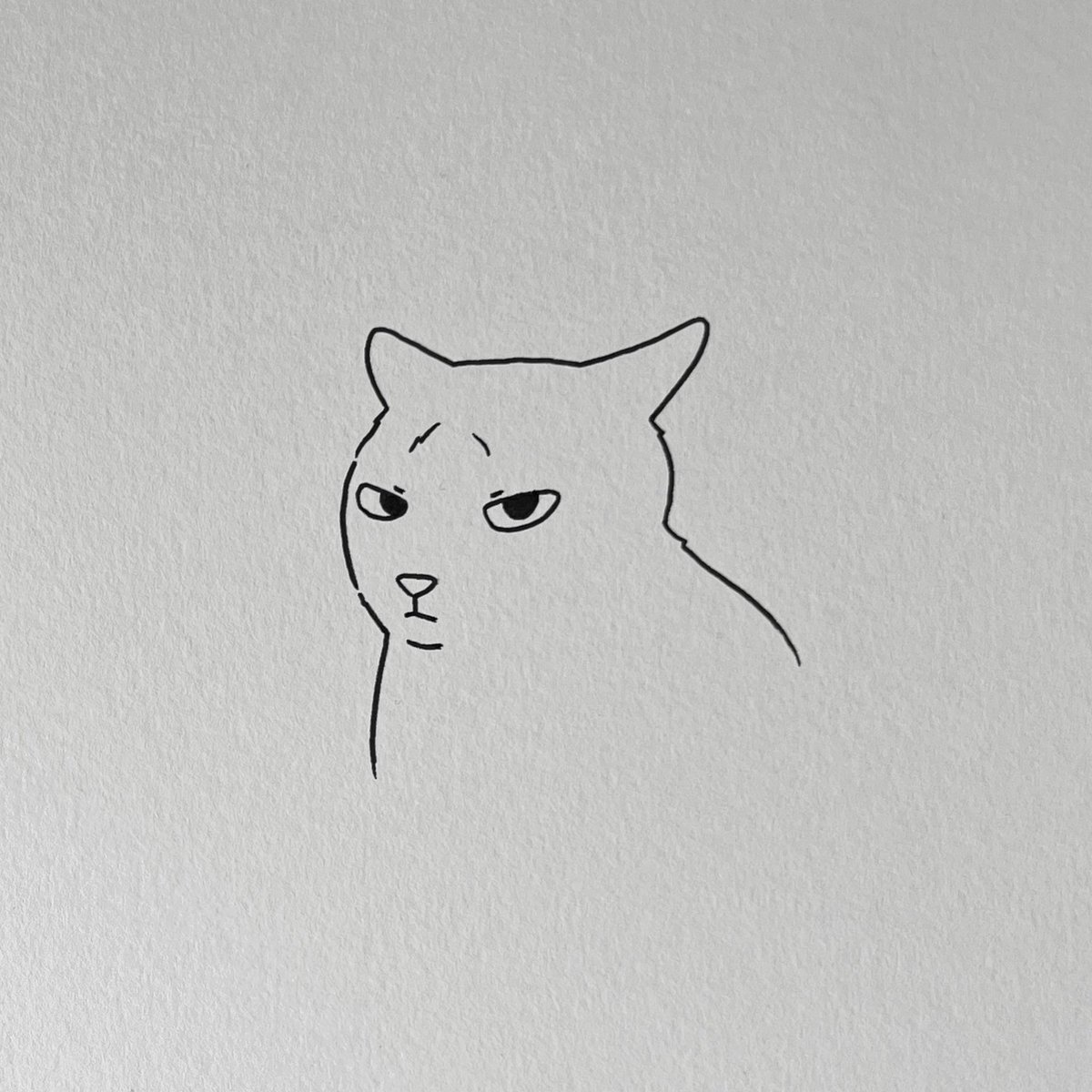 poorly drawn cats tweet media