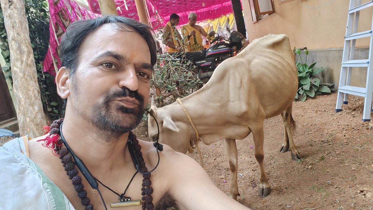 AbodeOfLakshmi's tweet photo. Playing with a beautiful calf. It's heartful of happiness. This is an out of the world feeling!
#SelfieWithCow #SelfieWithA_Calf https://t.co/atyqAc3yob