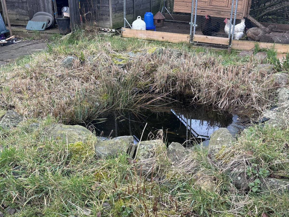 Mike Drew tweet media