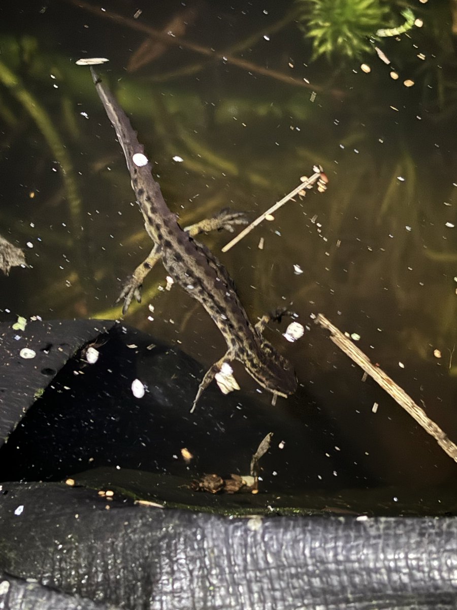 Mike Drew tweet media