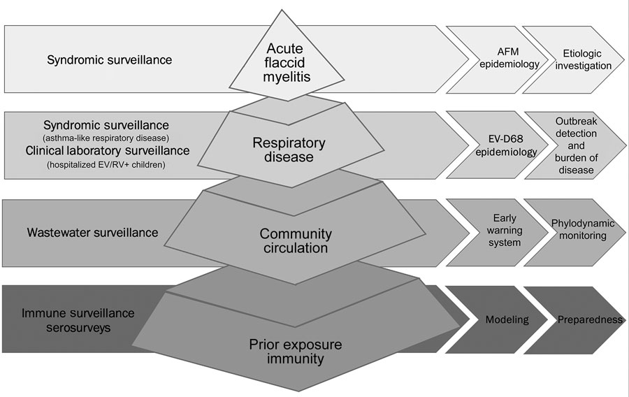 EID: Our multimodal surveillance system for enterovirus D68 respiratory disease &amp; acute flaccid myelitis in CO children. Lessons learned from ~10yrs of building this program to better understand &amp; respond to #EVD68 
wwwnc.cdc.gov/eid/article/30…