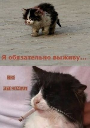 Я каждое утро просыпаюсь на работу