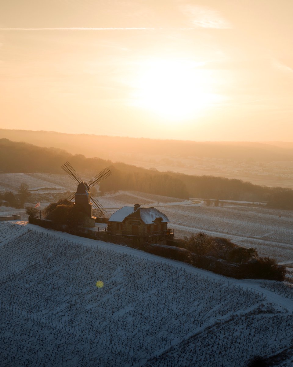 As winter unfolds on the horizon of Mumm’s vineyards, the House’s lively Pinot Noir signature comes alive, capturing the essence of the moment. #MaisonMumm #Winter #ChampagneMoments PLEASE DRINK RESPONSIBLY Please only share our posts with those who are of legal drinking age.