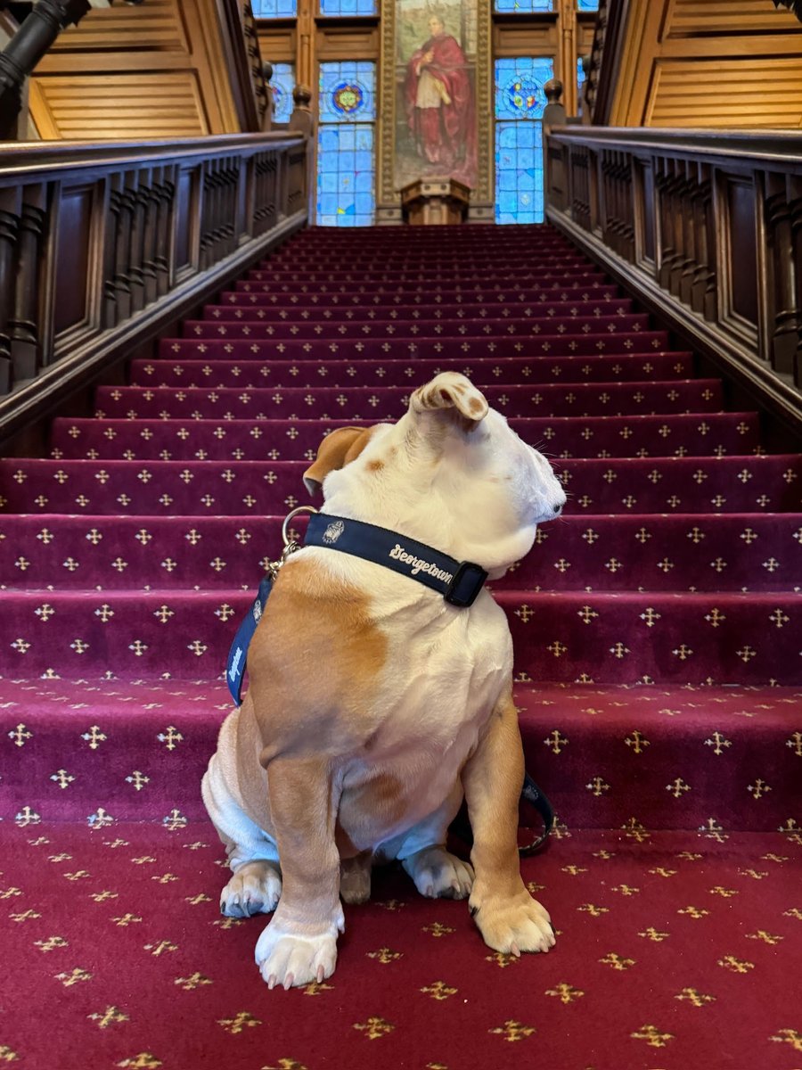 Jack's mascot training means he is starting to explore campus. Where should he go next?