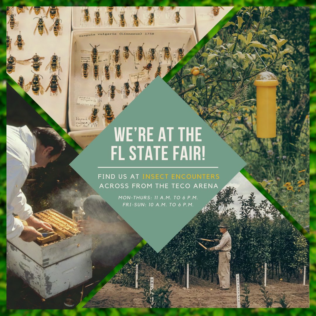 🎟️ Only two more days until the Florida State Fair! FDACS-DPI will be hosting a booth located at Insect Encounters, across from the TECO Arena! Come visit us, speak to our scientists, and take a look at what we have in store for you!