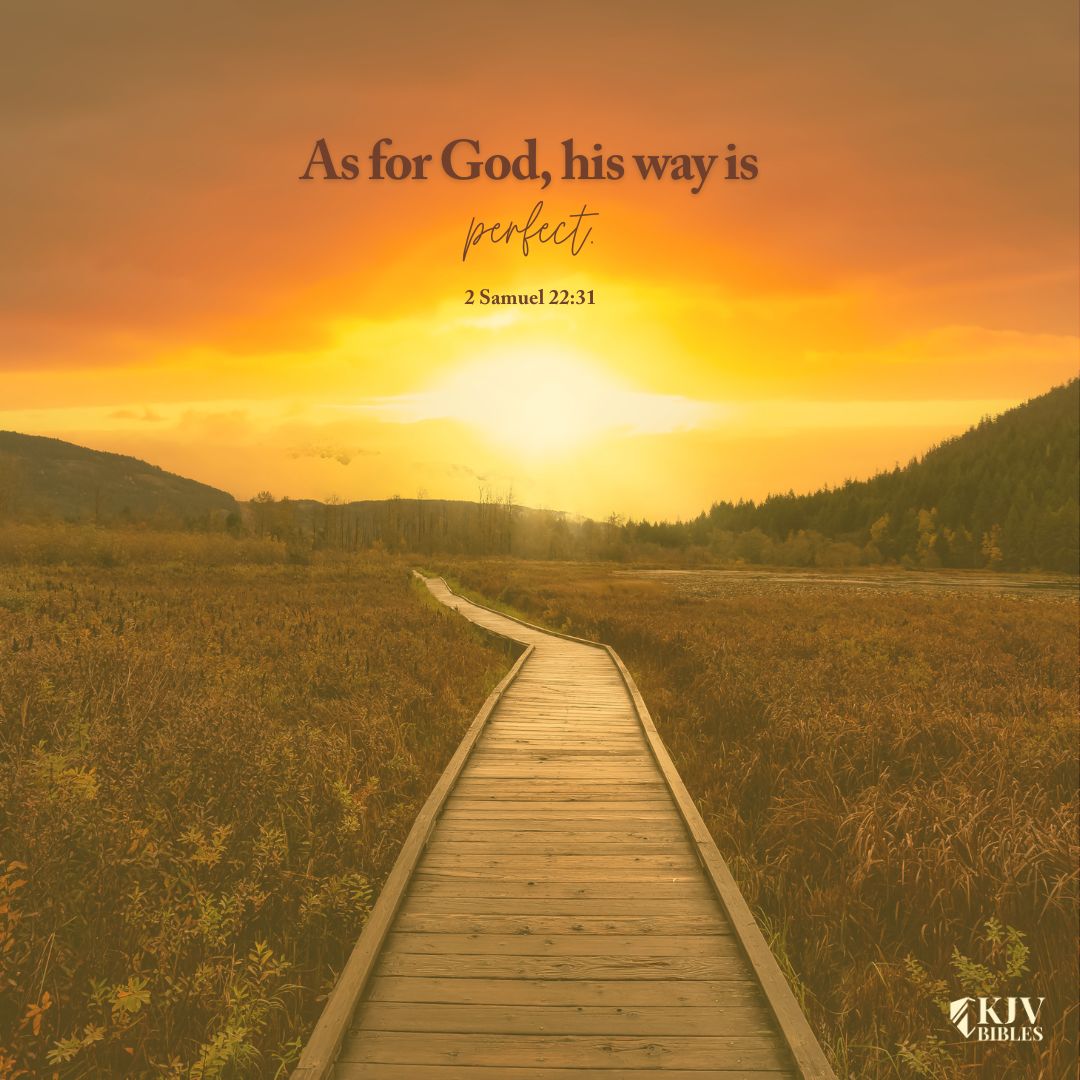 kjvbiblesstore's tweet image. As for God, his way is perfect; the word of the Lord is tried: he is a buckler to all them that trust in him. I Samuel 22:31
#kjv #kjvbibles #hiswayisperfect