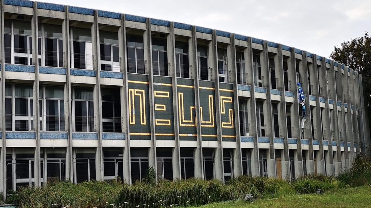 Dominic Blake tweet media