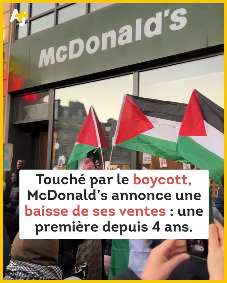 Monira Moon 🗝️ 🇳🇨 ❤️🇵🇸 🔻🇱🇧 tweet media