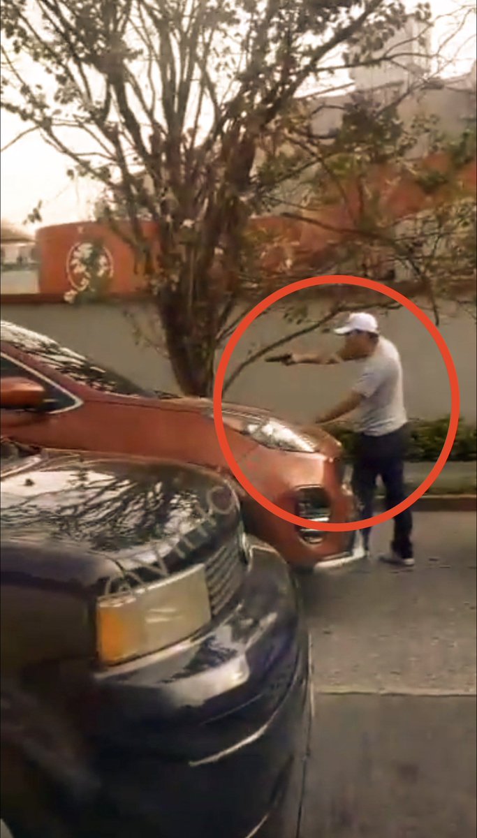 Mariandre tweet media