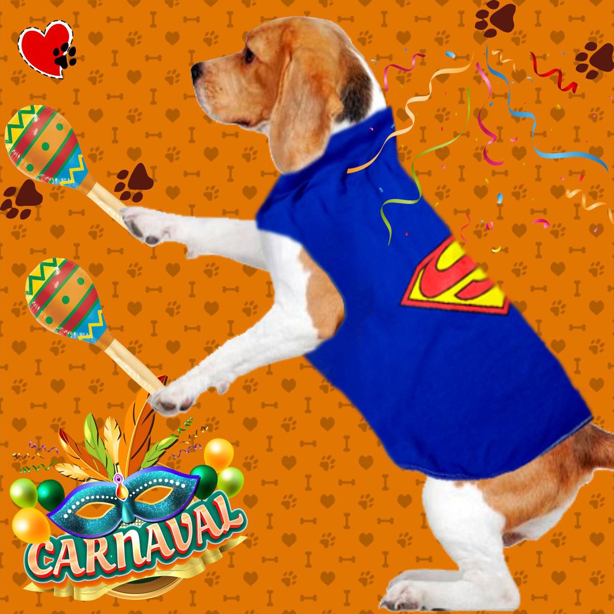 roupapetbr's tweet image. Já é Carnaval🎭
Na RoupaPet vc encontra roupinhas frescas e divertidas q vão deixar s/pet🐶🐱🐷🐰muito feliz e encantando corações🎊
Visite roupapet.com.br/loja?Categoria…🐾e escolha qual combina + c/ s/#pet🐕‍🦺
Compre 🛍️e ganhe presente🎁p/ seu pet❗
#roupapet #roupasparapet #carnaval2024