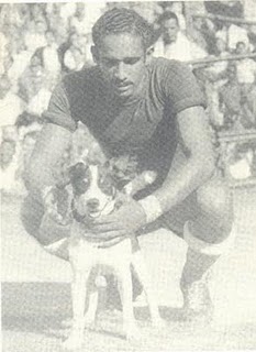 Cachorros em Campo tweet media