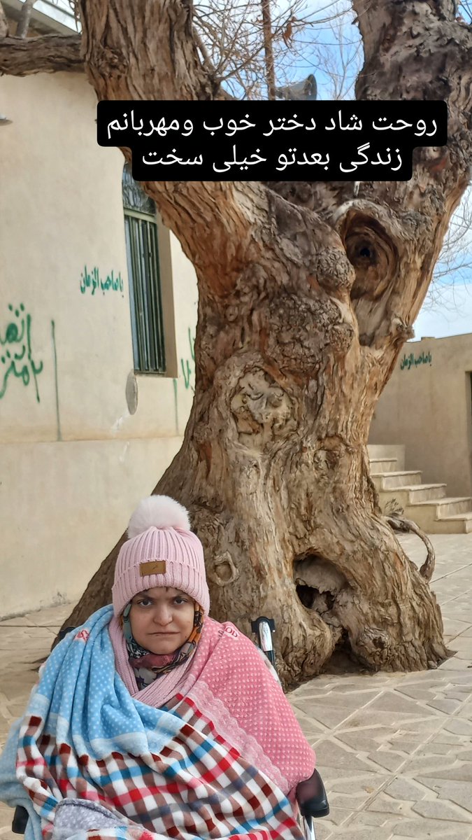 Melika_Shafinia_eb tweet media