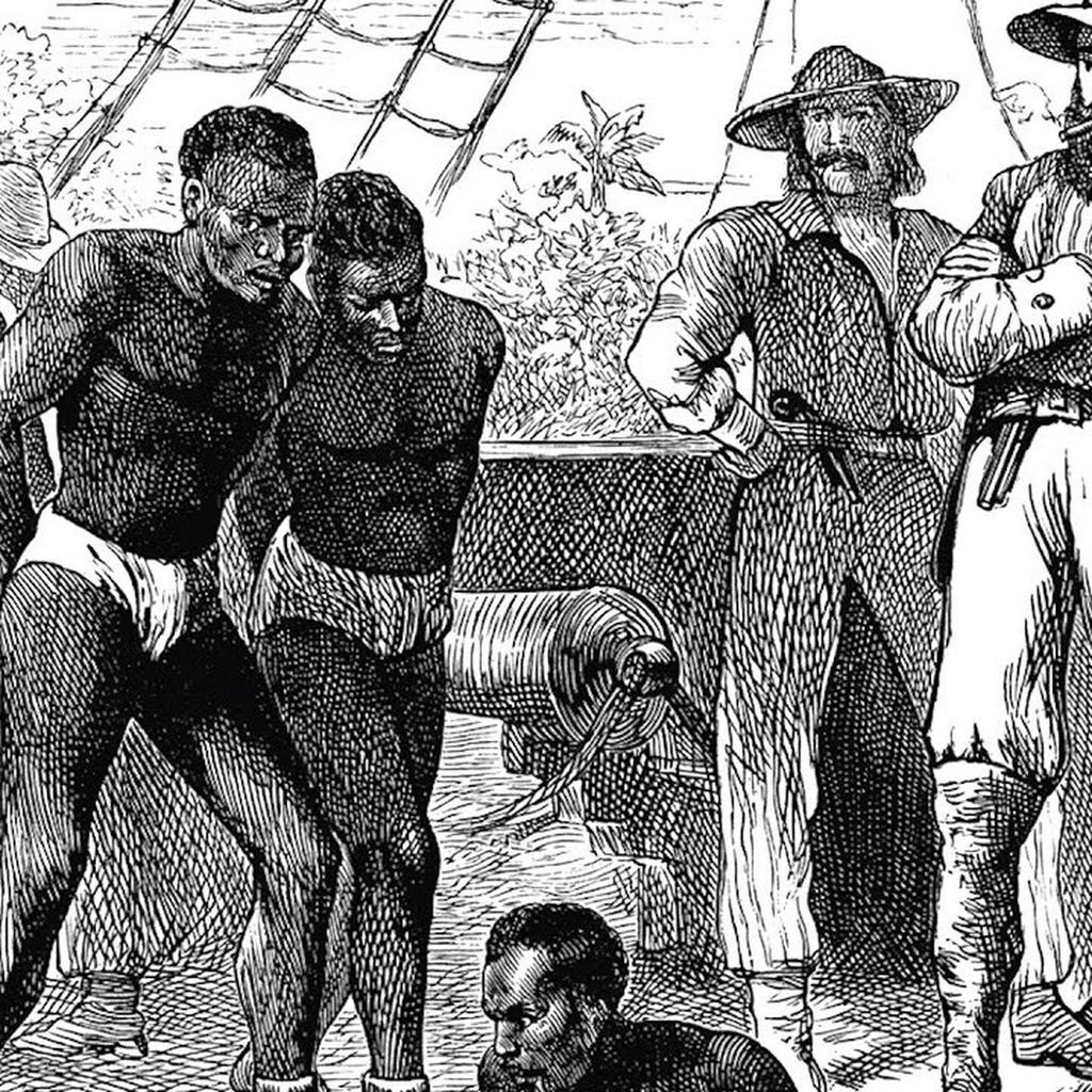 Irish connections to the Caribbean Slave trade, the La Touche family were landowners and bankers of French Huguenot origion, in the early 19th century they were recorded as having 500 slaves in Jamaica.