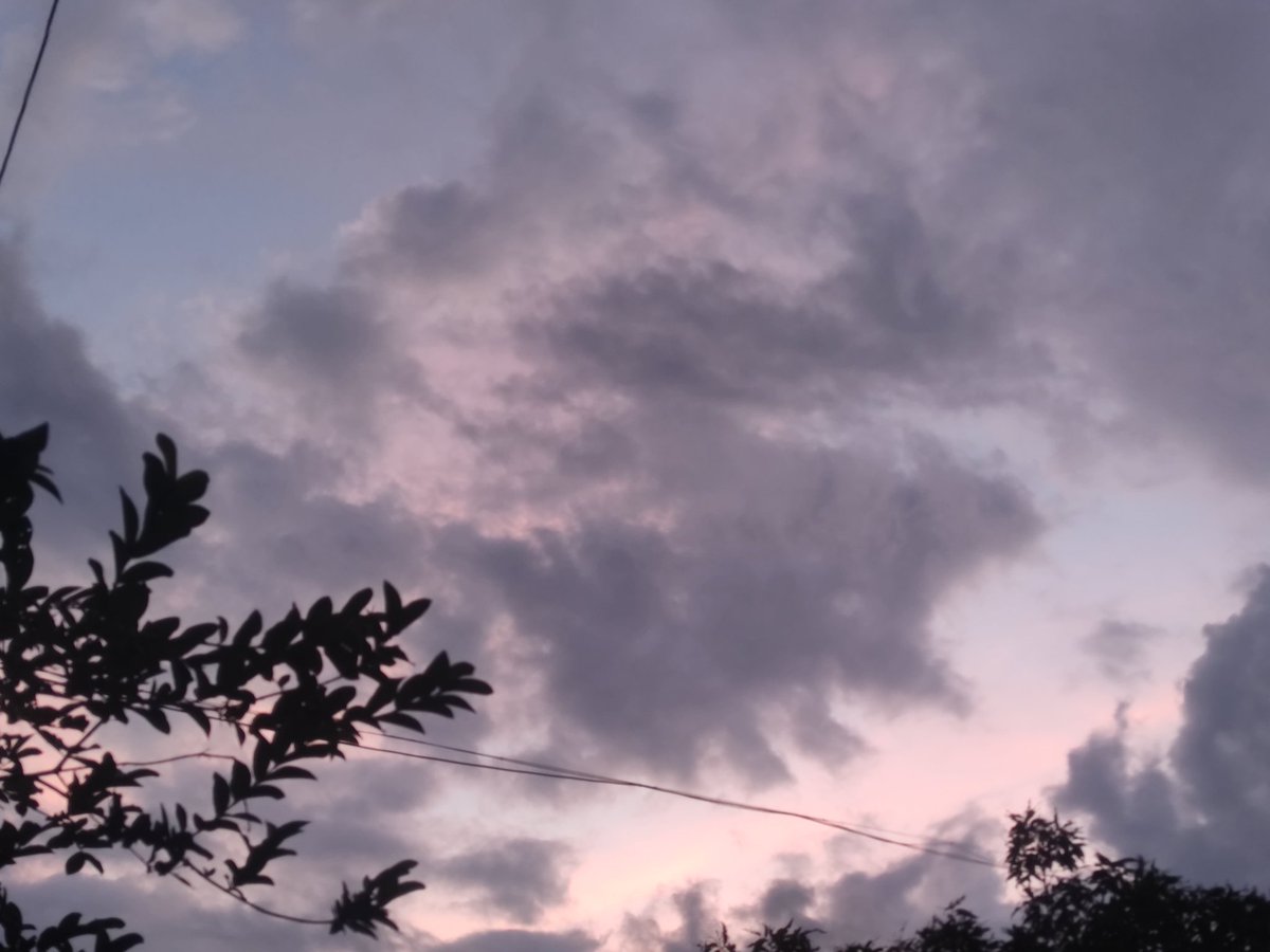 zhoumo (@zhoumo576725) on Twitter photo 