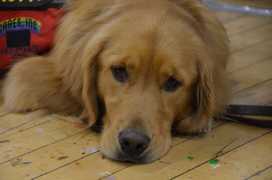 🔥Sabin 🔥 tweet media