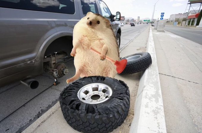 First he steals my catalytic converter THEN he proceeded to make me buy him lunch. DO NOT HIRE THIS PRICKLY