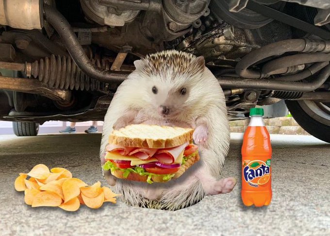 First he steals my catalytic converter THEN he proceeded to make me buy him lunch. DO NOT HIRE THIS PRICKLY