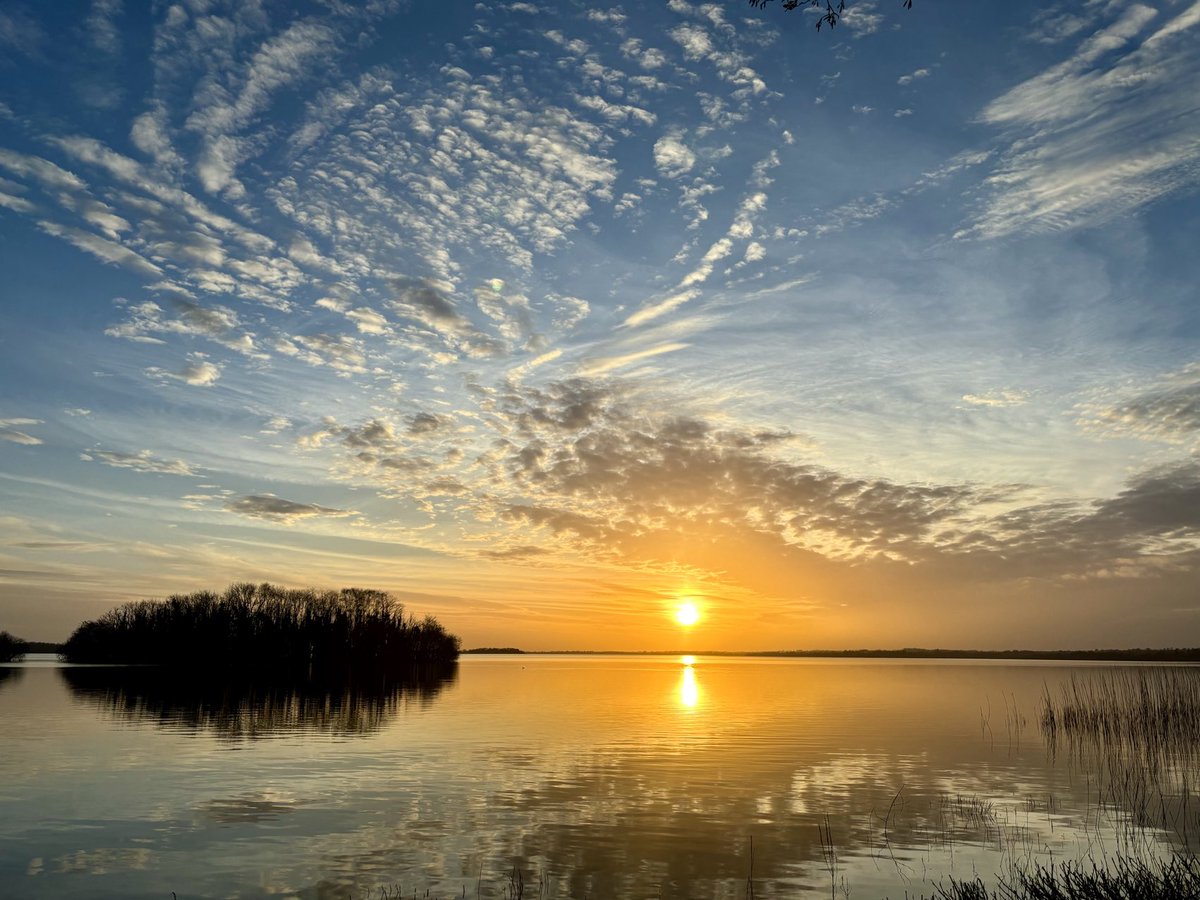 pmjwall's tweet image. Caption competition!